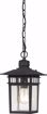 Picture of NUVO Lighting 60/4956 Cove Neck - 1 Light - 12" Outdoor Hang with Clear Seed Glass