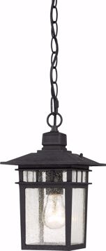 Picture of NUVO Lighting 60/4956 Cove Neck - 1 Light - 12" Outdoor Hang with Clear Seed Glass