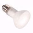 Picture of SATCO S4414 45R20/FL/HAL 130V Halogen Light Bulb