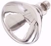 Picture of SATCO S4885 250R40/1/TF SHATTER CLEAR Incandescent Light Bulb