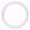 Picture of SATCO S6500 FC8T9/CW22 WATT COOL WHITE Fluorescent Light Bulb