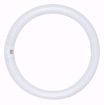 Picture of SATCO S6509 FC6T9/CW/RS Fluorescent Light Bulb