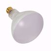 Picture of SATCO S7003 300BR40/FL/130V POOL LAMP Incandescent Light Bulb