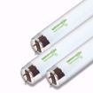 Picture of SATCO S7928 F40T10 5000K EX50 Fluorescent Light Bulb