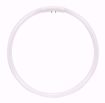 Picture of SATCO S8166 FC22T5/865 4PINS ON INSIDE Fluorescent Light Bulb