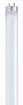 Picture of SATCO S8432 F17T8/850/ENV Fluorescent Light Bulb