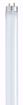 Picture of SATCO S8436 F32T8/865/ENV Fluorescent Light Bulb