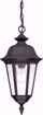 Picture of NUVO Lighting 60/2038 Cortland - 1 Light Hanging Lantern- with Seeded Glass