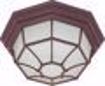 Picture of NUVO Lighting 60/3451 1 Light - 12" - Ceiling Spider Cage Fixture - Die Cast; Glass Lens; Color retail packaging