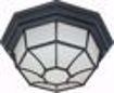 Picture of NUVO Lighting 60/3452 1 Light - 12" - Ceiling Spider Cage Fixture - Die Cast; Glass Lens; Color retail packaging