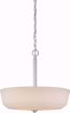 Picture of NUVO Lighting 60/5807 Willow - 4 Light Pendant with White Glass