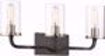 Picture of NUVO Lighting 60/6123 Sherwood - 3 Light Vanity - 24" - Iron Black with Brushed Nickel Accents