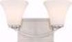 Picture of NUVO Lighting 60/6202 Fawn 2 Light Vanity Fixture - Brushed Nickel Finish