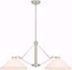 Picture of NUVO Lighting 60/6248 Nome 2 Light Island Pendant Fixture - Brushed Nickel Finish