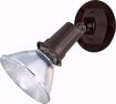 Picture of NUVO Lighting SF76/521 1 Light - 5" - Flood Light; Exterior - PAR38 with Adjustable Swivel