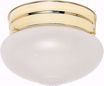 Picture of NUVO Lighting SF77/123 1 Light - 6" - Flush Mount - Small Frosted Grape Mushroom