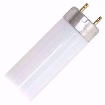 Picture of GE 26667  F32T8/SP35/ECO Straight T8 Fluorescent Tube Light Bulbs - Case of 36