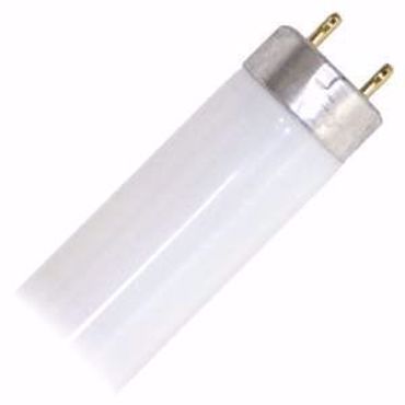 Picture for category F32T8 - 3500 Kelvin - T8 Linear Fluorescent Tubes