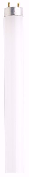 Picture of SYlVANIA 21767 F32T8/841/XP/ECO  Fluorescent Light Bulb