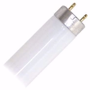 Picture for category F32T8 - 5000 Kelvin - T8 Linear Fluorescent Tubes